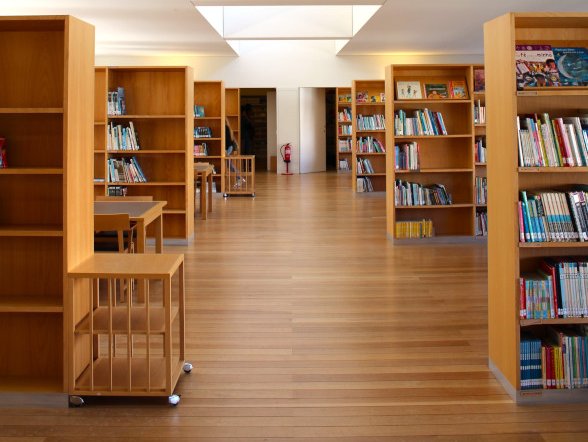 rui-alves-tioaE3j63Ho-unsplash resized